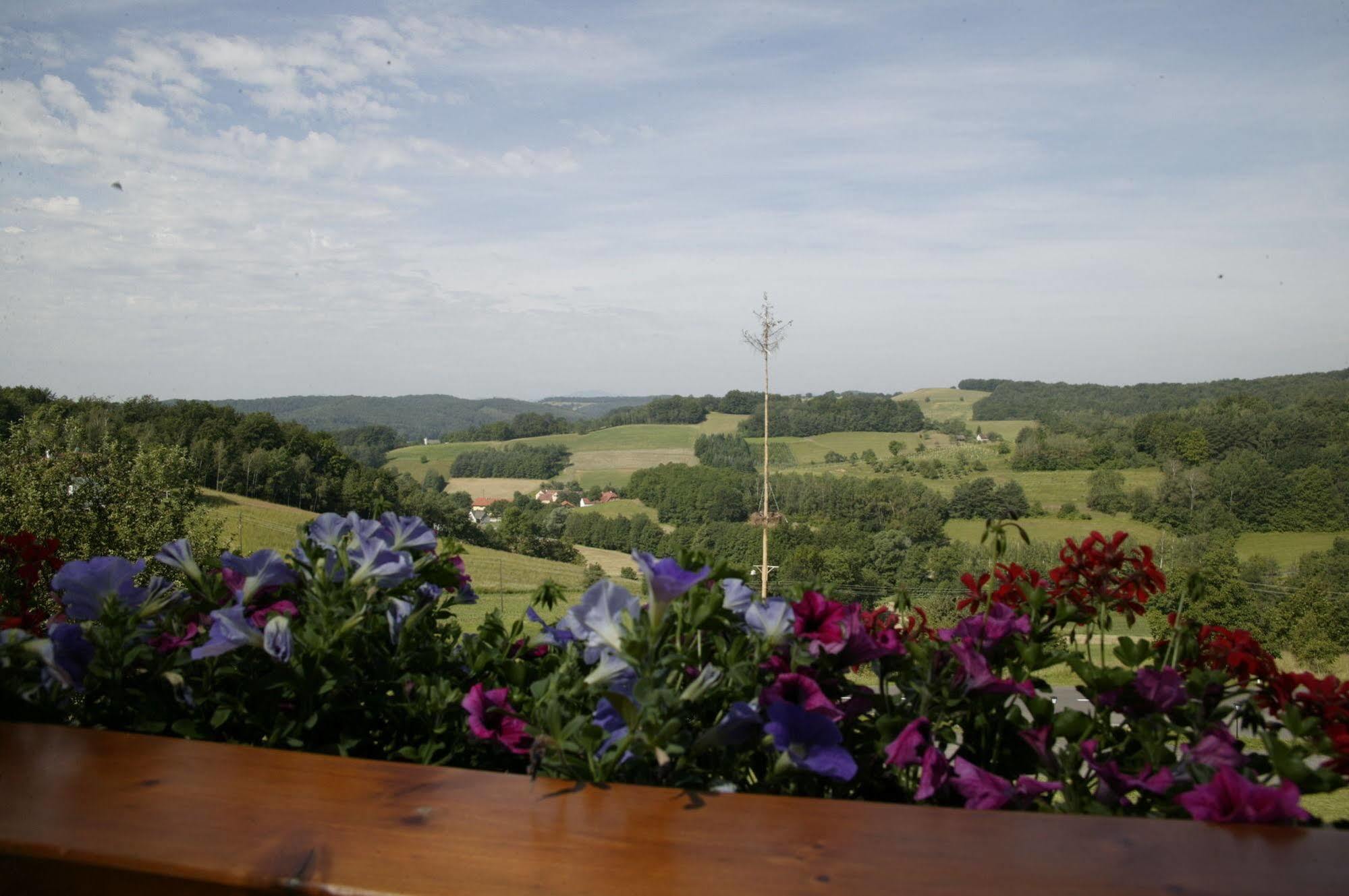 יאנרסדורף Hotel Panoramahof Loipersdorf מראה חיצוני תמונה